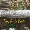 Torche de salvia bleue 26 cm