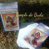 Tarot de los Ángeles Fournier en Español