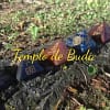 Piramidi Chakra s'innamora di Reiki