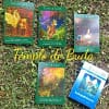 Radleigh Valentine & Dorren Virtue Angel Tarot