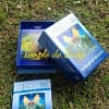 Radleigh Valentine & Dorren Virtue Angel Tarot
