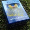 Radleigh Valentine & Dorren Virtue Angel Tarot