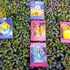 I Tarocchi degli Angeli di Radleigh Valentine e Doreen Virtue in spagnolo - immagine 11