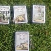 Madame Lenormand Gypsy Deck von Laura Tuan auf Portugiesisch