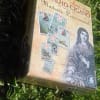 Madame Lenormand Gypsy Deck von Laura Tuan auf Portugiesisch