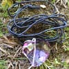 Andara Pendente Coração Violeta