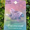 Oráculo Animal Espiritual de Colette Baron-Reid em Inglês