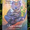 Oráculo Animal Espiritual de Colette Baron-Reid em Inglês