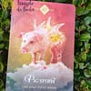 Oráculo Animal Espiritual de Colette Baron-Reid em Inglês