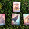 Oráculo Animal Espiritual de Colette Baron-Reid em Inglês