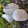 Rolled Rutilated Golden Quartz