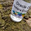 Andara Óleo Oráculo Cristal - Image 3