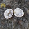 Geoda de cristal de cuarzo blanco - Imagen 5