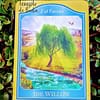 Tarot akashique par Sharon Anne Klingler & Sandra Anne Taylor en anglais – Image 5