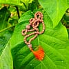 Japa Mala Rudraksha
