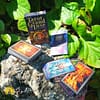 Tarot Grand Luxe de Ciro Marchetti - Image 2