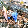 Pendolo a piramide di sodalite 2.5cm - immagine 4
