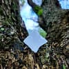Merkaba de Selenite