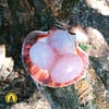 Huevo de cuarzo rosa - Imagen 5