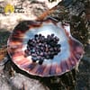 Bagas de Juniper (Zimbro) - Image 2