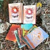 Oráculo Shamanic Medicine de Flavia Kate Peters e Barbara Meiklejohn-Free em Inglês