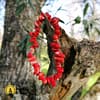 Bracelet Coral Stone Chips – Image 3