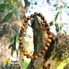 Pulseira Olho de Tigre 6mm (3)