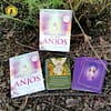 Conseils quotidiens de vos anges par Doreen Virtue en portugais – Image 2