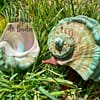 Concha Turbo Marmoratus 14-16cm