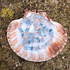 Bracciale di schegge di berillo (morganite) - immagine 2