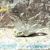 Weißer und geräucherter Quarzkristall mit Duo-Spitze, gekreuzt auf Lepidolith-Sockel – Bild 4