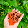 JapaMala de Rudraksha