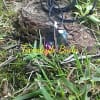 Andara Pendant Purple Hexagon