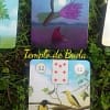Oracle Pagan Lenormand par Gina Pace