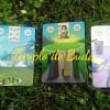 Oracle Pagan Lenormand par Gina Pace