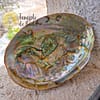 Green Abalone Shell - Image 2