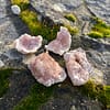 Ametista Rosa Geodo