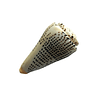 Concha Conus Marmoreus 10-12 cm