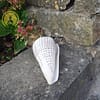 Concha Conus Marmoreus 10-12 cm - immagine 2