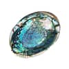 Green Abalone Shell - Image 4