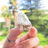 Cristal de Cuarzo Blanco y Drusa de Cuarzo de Jardín - Imagen 2