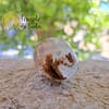White Quartz Rolled Crystal with Lepidolite and Silver Rutile - Image 5