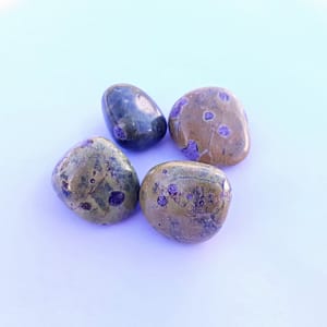 Atlantisite roulée 2-3cm