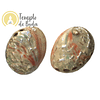 Concha Abalone Vermelha Polida 7-9cm