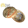 Concha Abalone Vermelha Polida 7-9cm