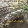 Torcia ginepro 10cm