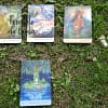 Oracle Whispers of Nature by Angela Hartfield in English