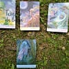 Oracle Whispers of Nature by Angela Hartfield in English