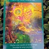Tarot dos Anjos de Radleigh Valentine & Doreen Virtue em Espanhol - Image 6