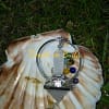 Pyramid White Quartz Pendulum with Tip